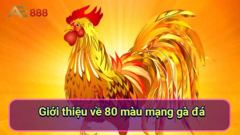 gioi-thieu-ve-80-mau-mang-ga-da