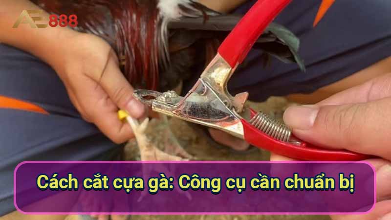 cach-cat-cua-ga:-cong-cu-can-chuan-bi