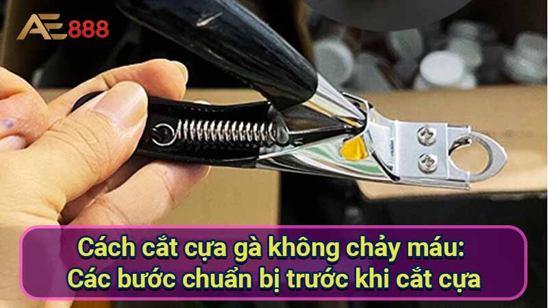 cach-cat-cua-ga-khong-chay-mau:-cac-buoc-chuan-bi-truoc-khi-cat-cua