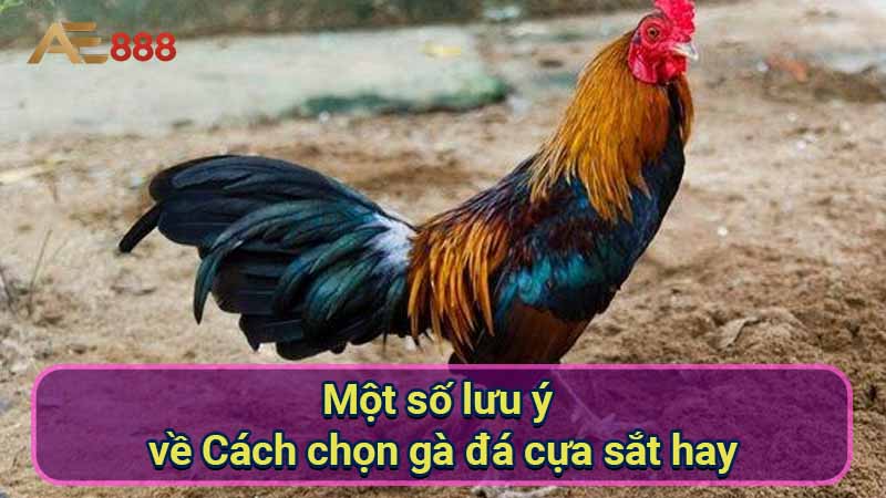 mot-so-luu-y-ve-cach-chon-ga-da-cua-sat-hay