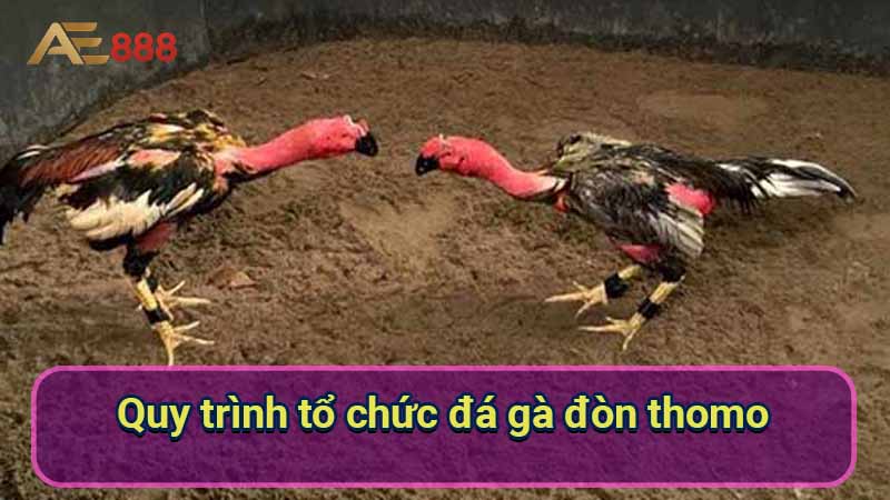 quy-trinh-to-chuc-da-ga-don-thomo