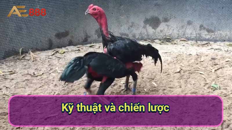 ky-thuat-va-chien-luoc