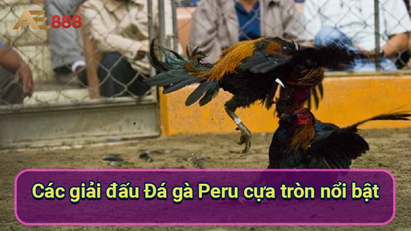 cac-giai-dau-da-ga-peru-cua-tron-noi-bat