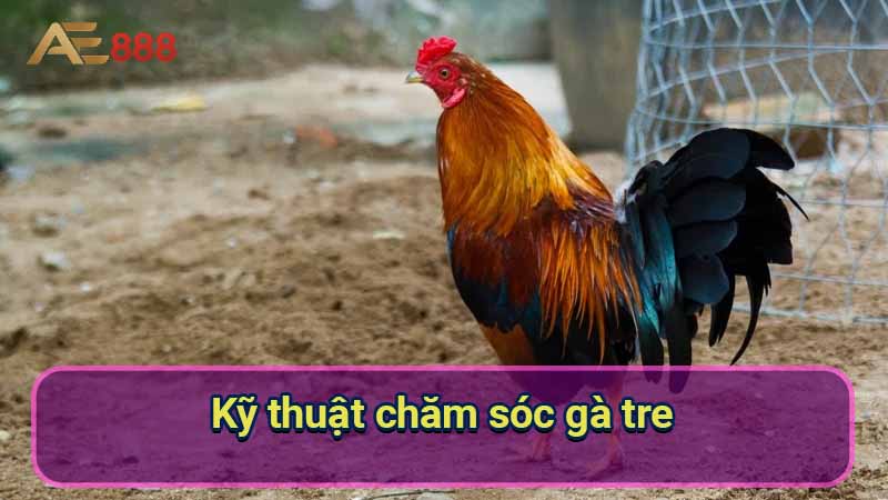 ky-thuat-cham-soc-ga-tre-de-da-cua-sat