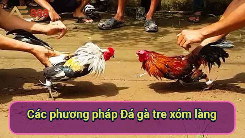 phong-benh-va-cham-soc