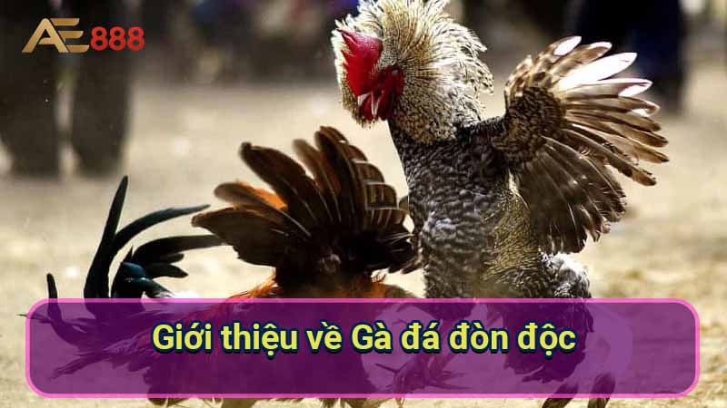 gioi-thieu-ve-ga-da-don-doc