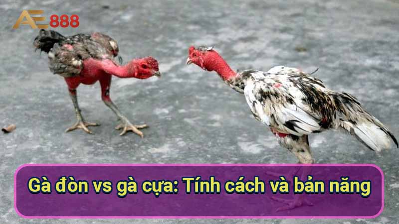 ga-don-vs-ga-cua:-tinh-cach-va-ban-nang