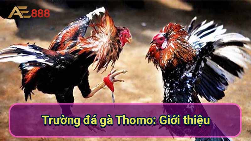 truong-da-ga-thomo:-gioi-thieu