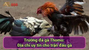 truong-da-ga-thomo