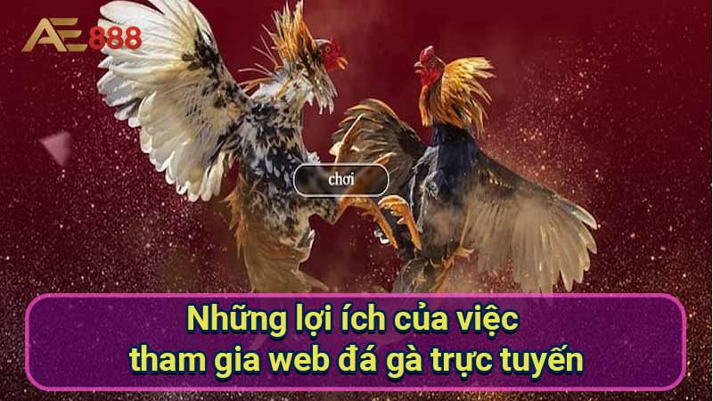 nhung-loi-ich-cua-viec-tham-gia-web-da-ga-truc-tuyen