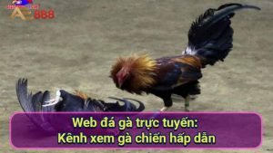 web-da-ga-truc-tuyen